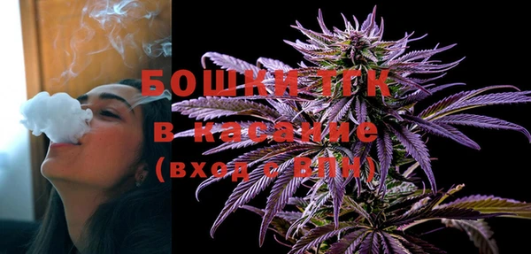 тгк Алексин