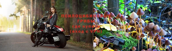 тгк Алексин