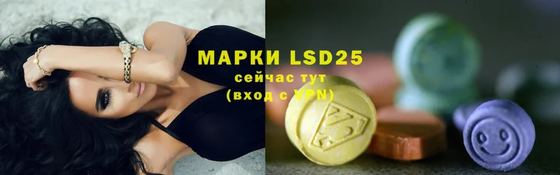 ссылка на мегу как войти  где найти наркотики  Грязовец  Лсд 25 экстази ecstasy 