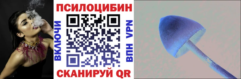 Псилоцибиновые грибы ЛСД  купить наркотик  Грязовец 